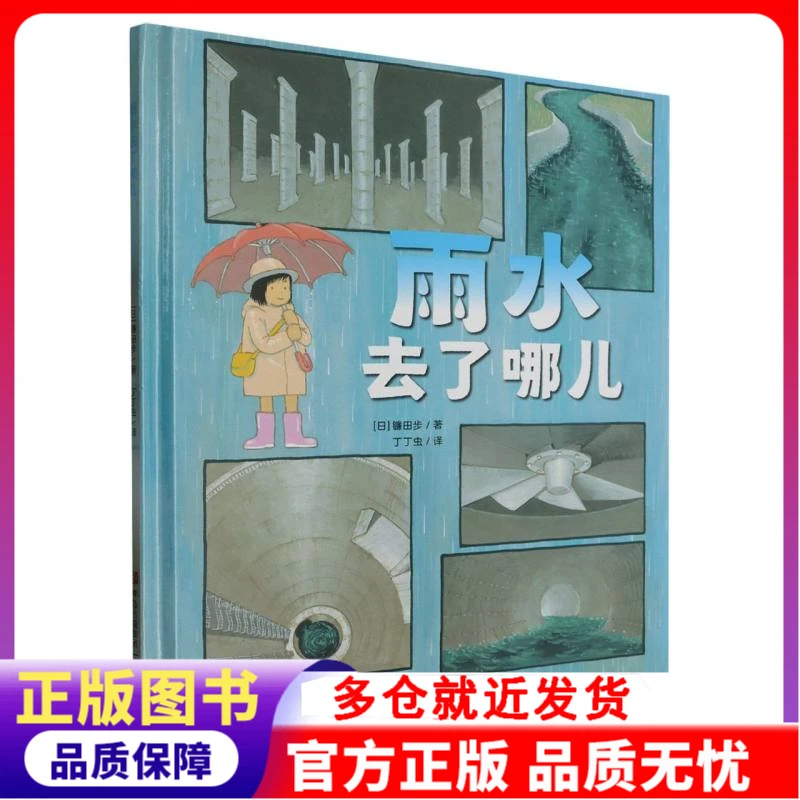 雨水去了哪儿(精)  正版书籍精选好书