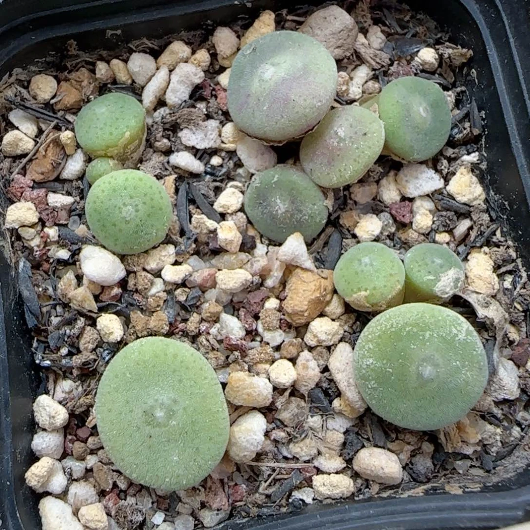 ?***喜655福利福利福利