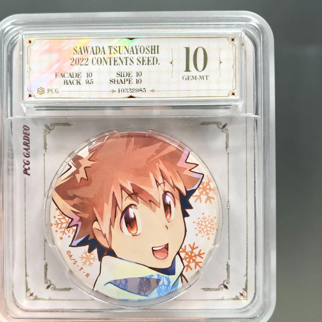 家庭教师正版日谷评级吧唧徽章一枚 泽田纲吉