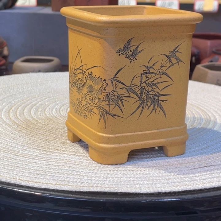 ꧁***꧂花盆紫砂我也想要