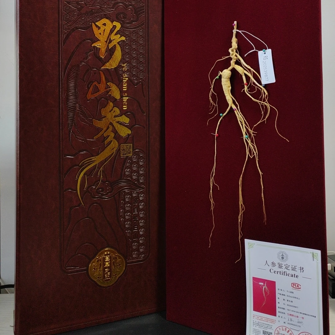 长白山林下参带证书一等品煲汤泡水泡酒滋补养生礼品