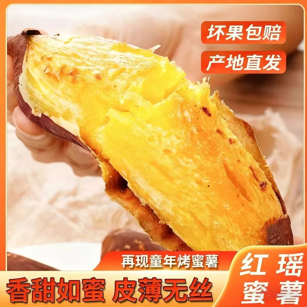正宗天津宁河岳龙镇红瑶蜜薯香甜软糯新鲜现挖现发