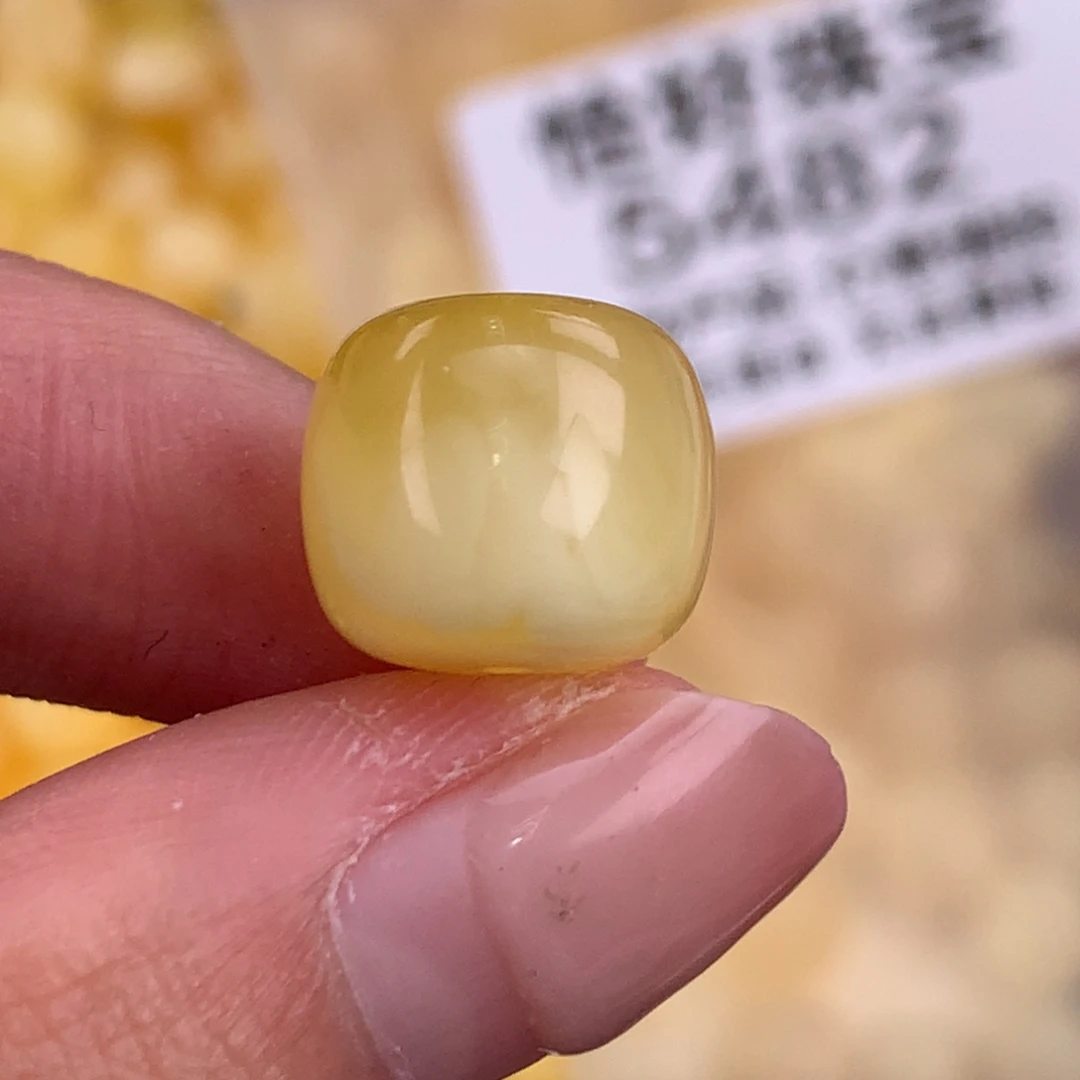 琥珀未镶嵌珠宝奇石12.8植物