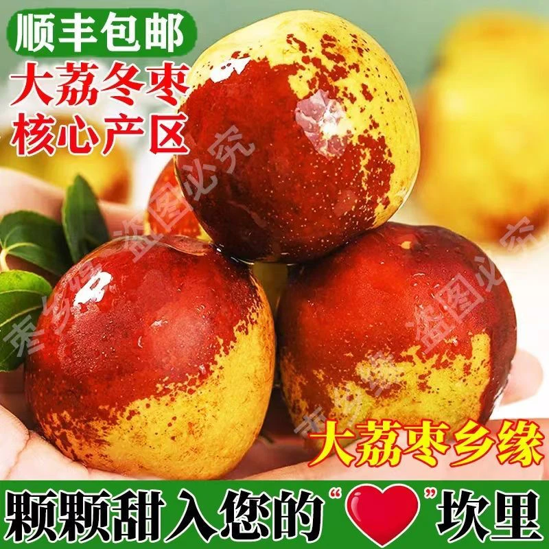 A级大果陕西大荔现摘冬枣应季水果脆甜多汁新鲜果园直发
