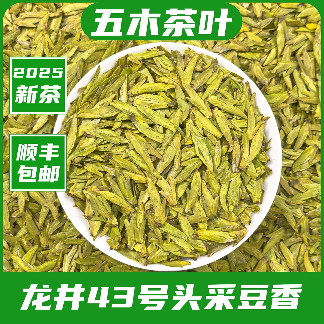 2025新茶头春头采豆香浓郁清爽耐泡龙型扁茶茶叶【五木L01】
