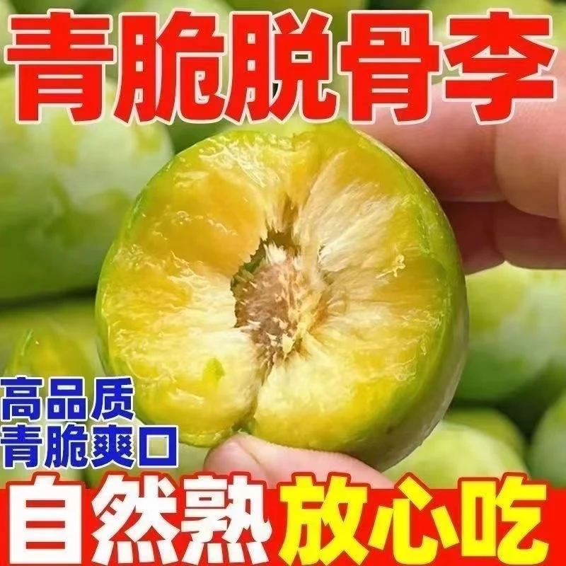 正宗青脆李脱骨李当季新鲜青李甜酸过瘾现摘现发
