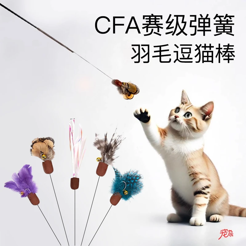 CFA比赛级逗猫棒可替换头仿真小飞虫羽毛加长杆自嗨解闷猫咪玩具