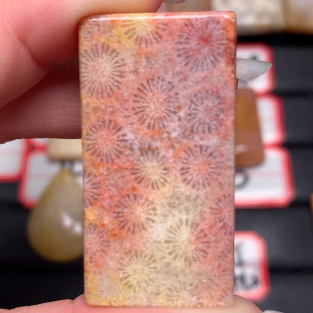 【闪购商品】硅化玉颈饰未镶嵌宝**咪