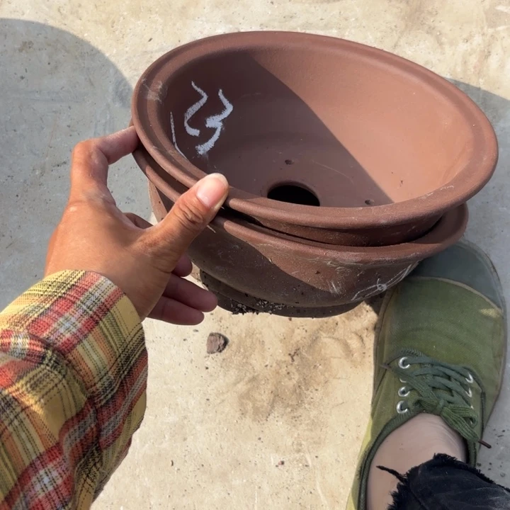 紫砂花盆紫砂的花