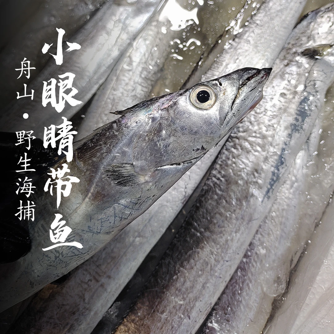 【钳子专属】舟山带鱼小眼睛带鱼油带舟山东海整条新鲜鲜货海鲜水产