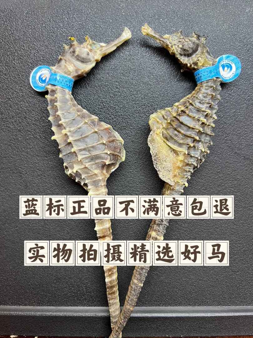 【正品】精选正宗海鱼干泡酒煲汤新鲜晾晒蓝标正品 公母配对 高汤