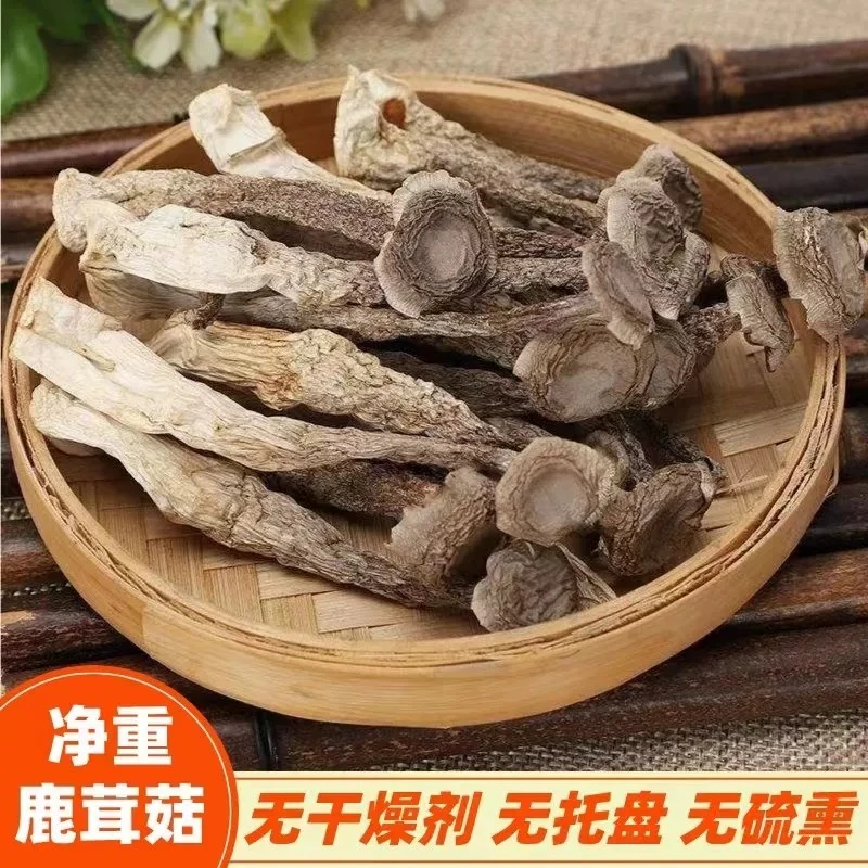 鹿茸菇干货AA级鹿茸菌古田食用菌乡村香菇脆脆菇煲汤食材产地直销