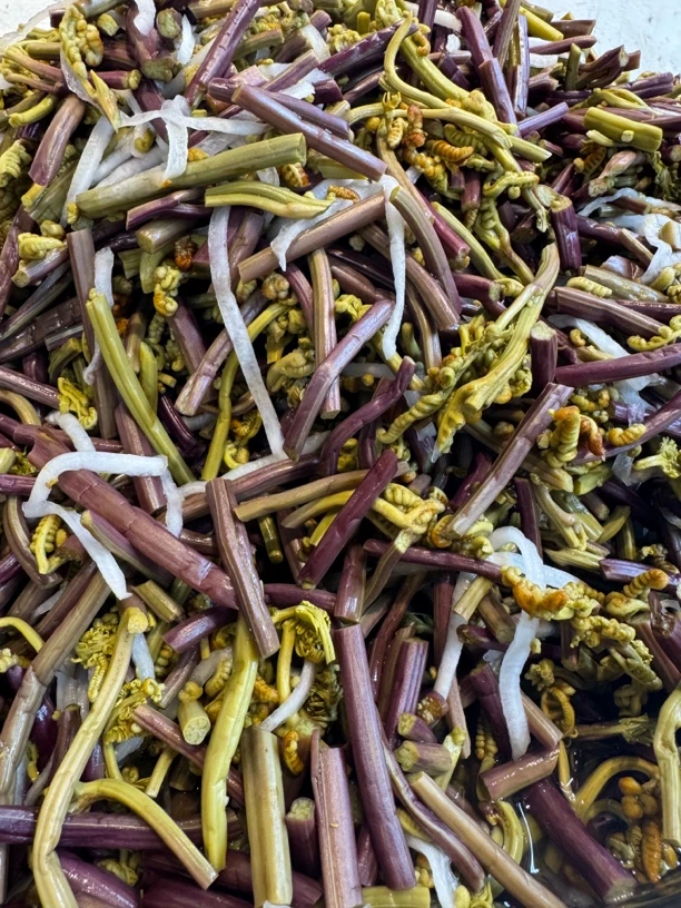 云南保山泡蕨菜（酸脆）500g/瓶
