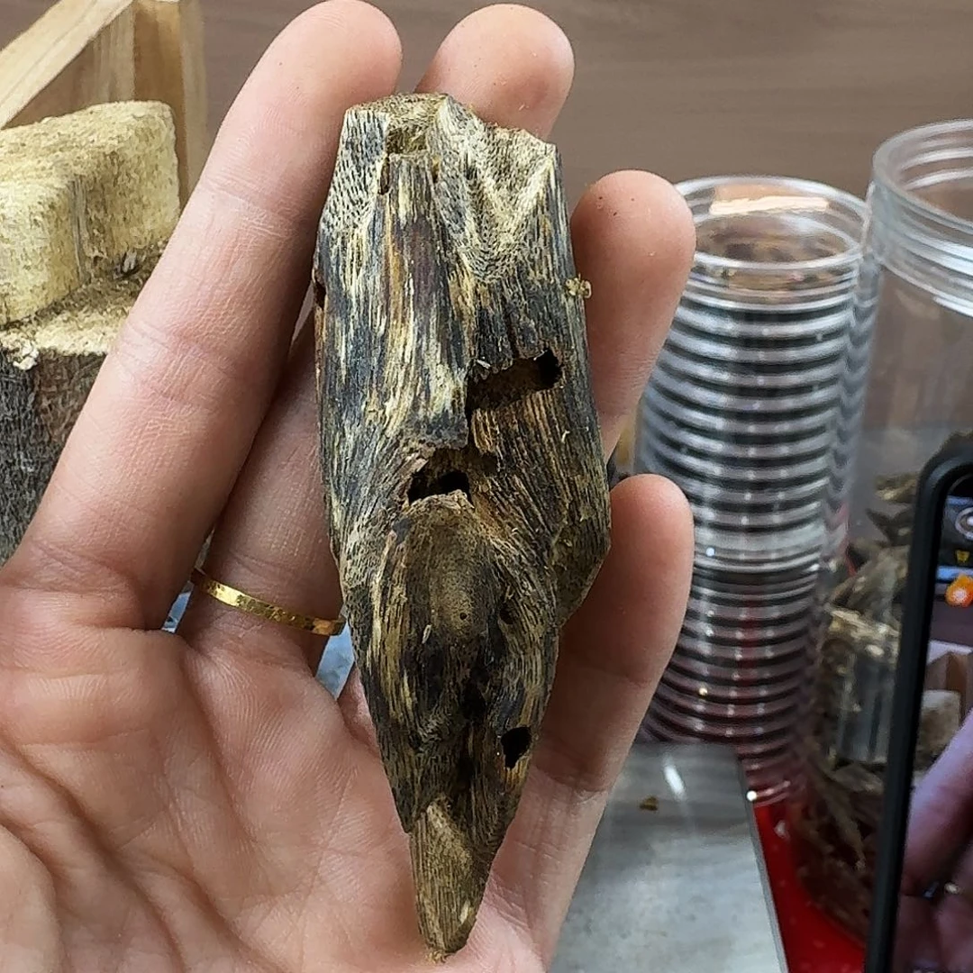 香料绿奇楠虫漏白棋13克