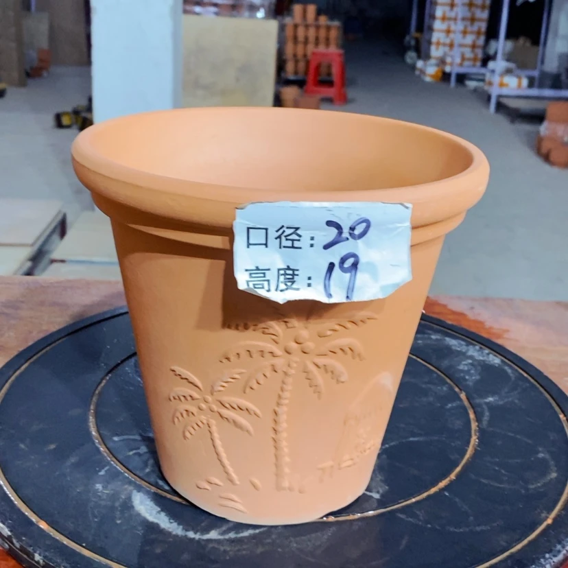 【闪购商品】椰树20×19-1