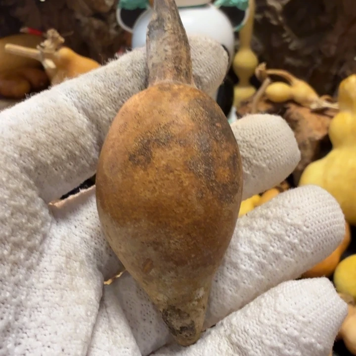 ****姐66666776677777788888