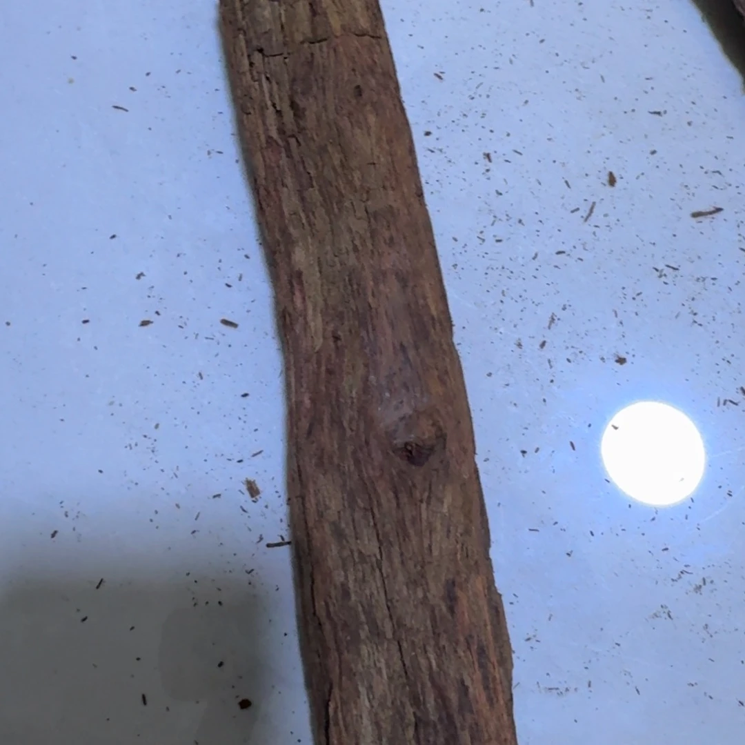 藤类20cm降真香原木满油
