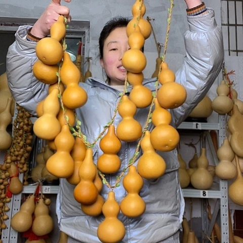 天然植物葫芦文玩