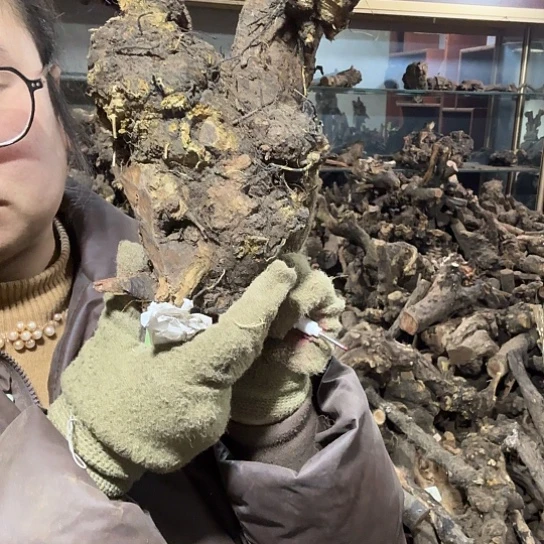 香榧木闪**⭐火琉璃的故事毛料摆件