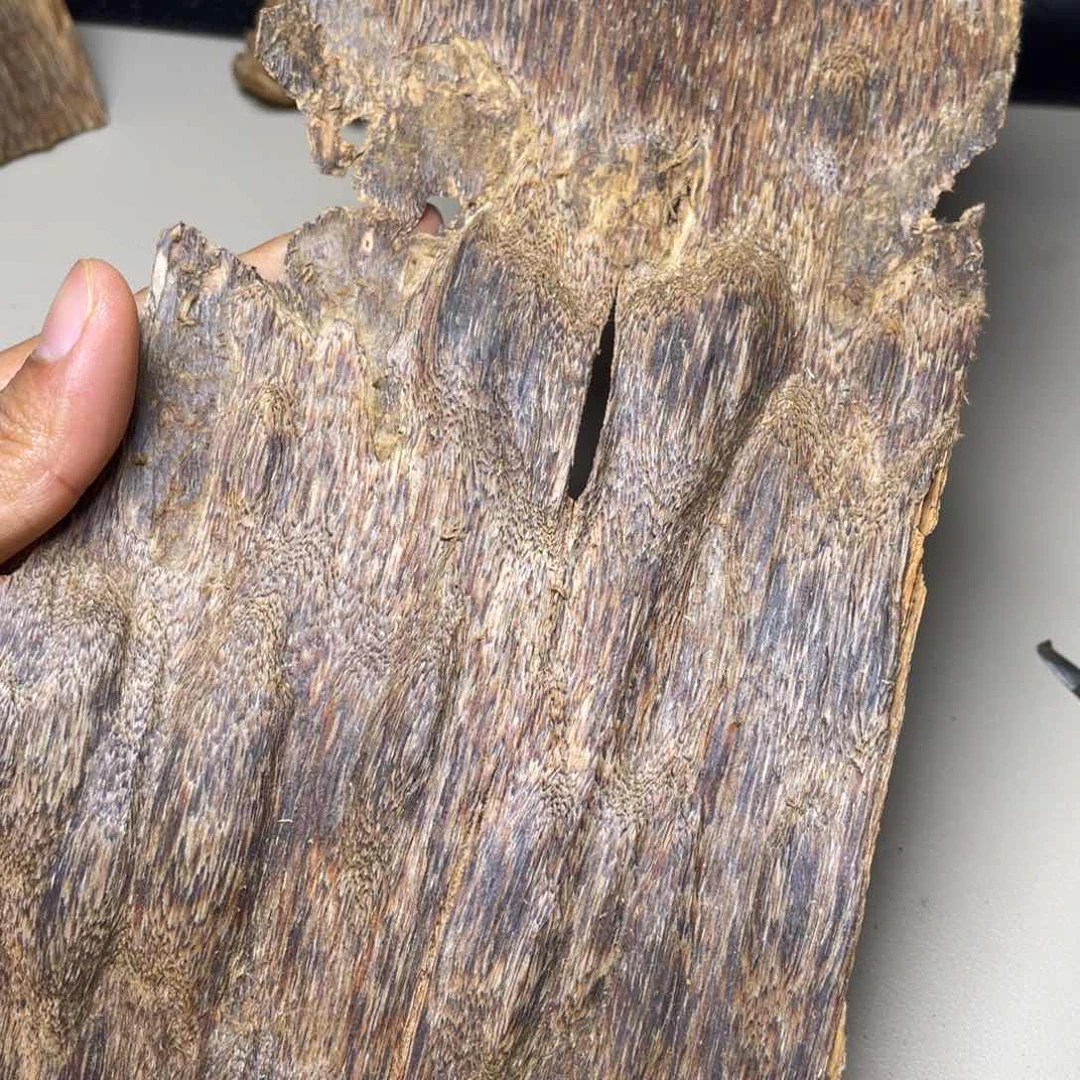 香榧木海南竹木根雕木料52克