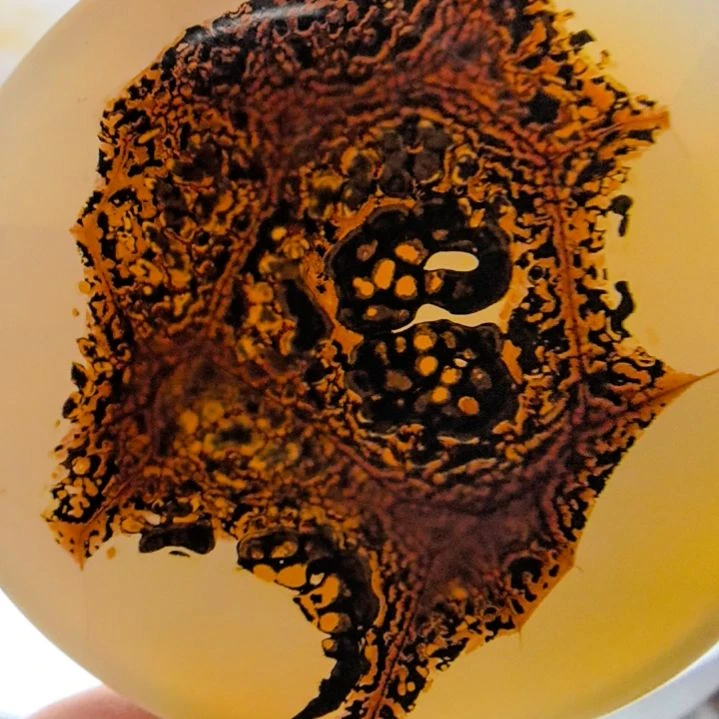 非金属时尚饰品20