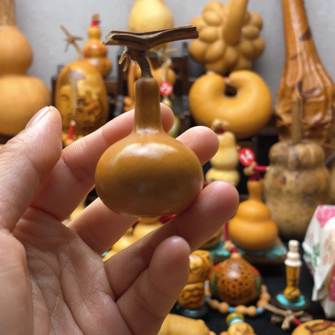 会***.大自然的秘密第十一节的故事