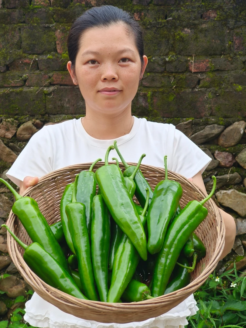 广东农家菜园子新鲜辣椒皮薄肉厚微辣青椒有机肥甜椒现摘现发3斤