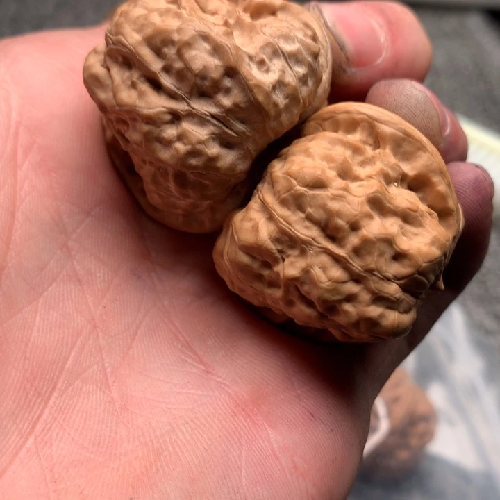 文玩核桃吊坠己*39蛙