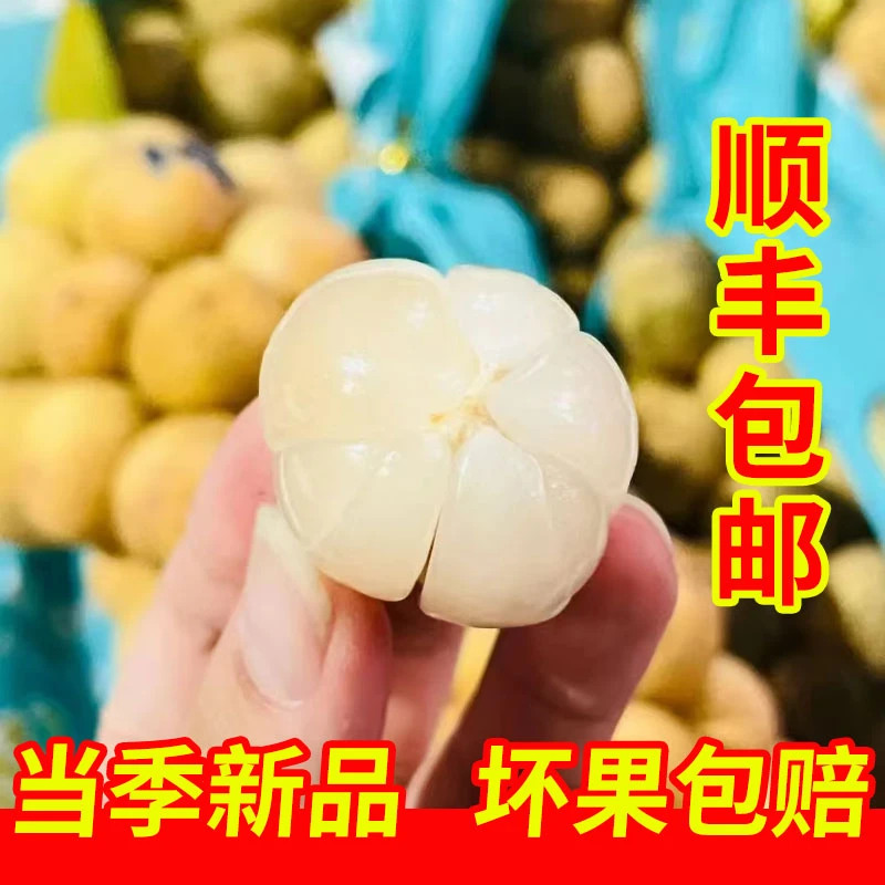 顺丰发货椰色果龙宫果顺丰包邮网红进口水果