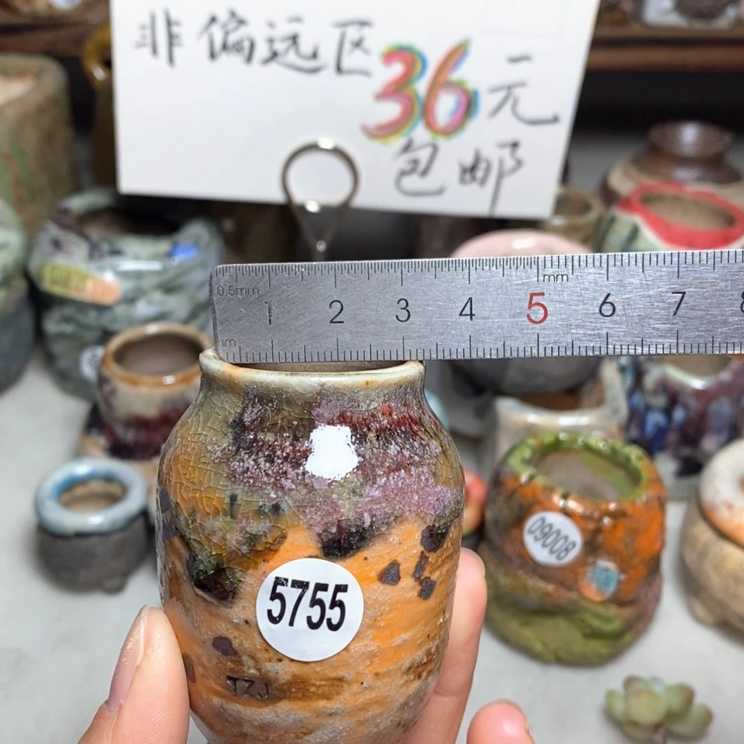 花盆拍5送一个小礼物