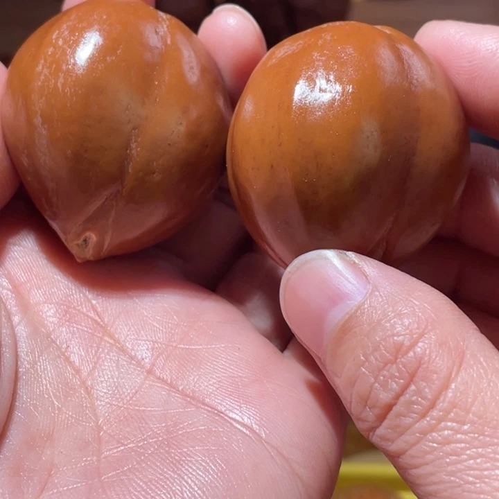 桃核把件微瑕橘子核橄榄