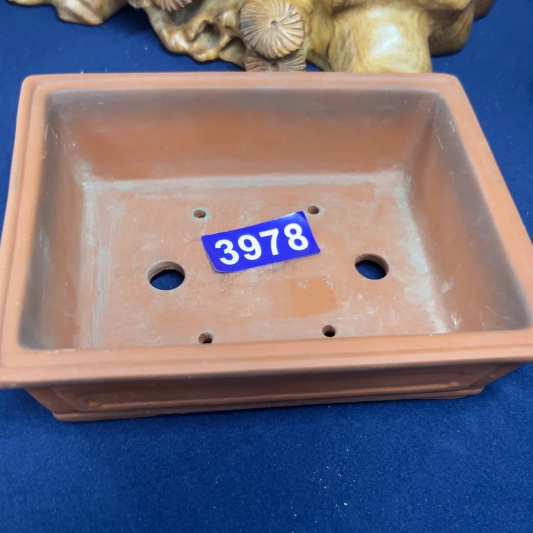 红陶小*坏红红火火过大年3978