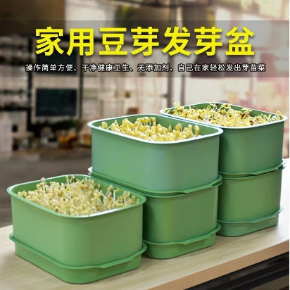 家用新款水培 大容量 豆芽菜神器