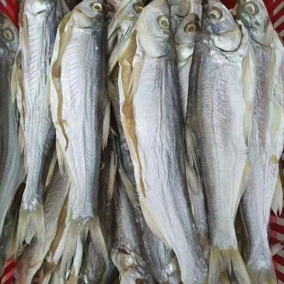 河南固始农家风味新鲜白条鱼翘嘴鱼腌制腊鱼风干鱼咸鱼