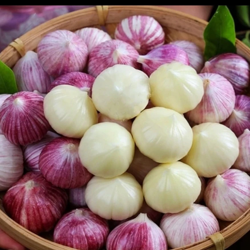 一村一品农家现收—1精选独头蒜