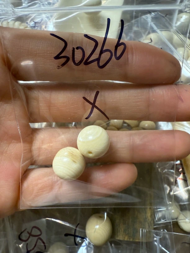 30266猛犸牙对珠瑕疵配饰介意勿拍