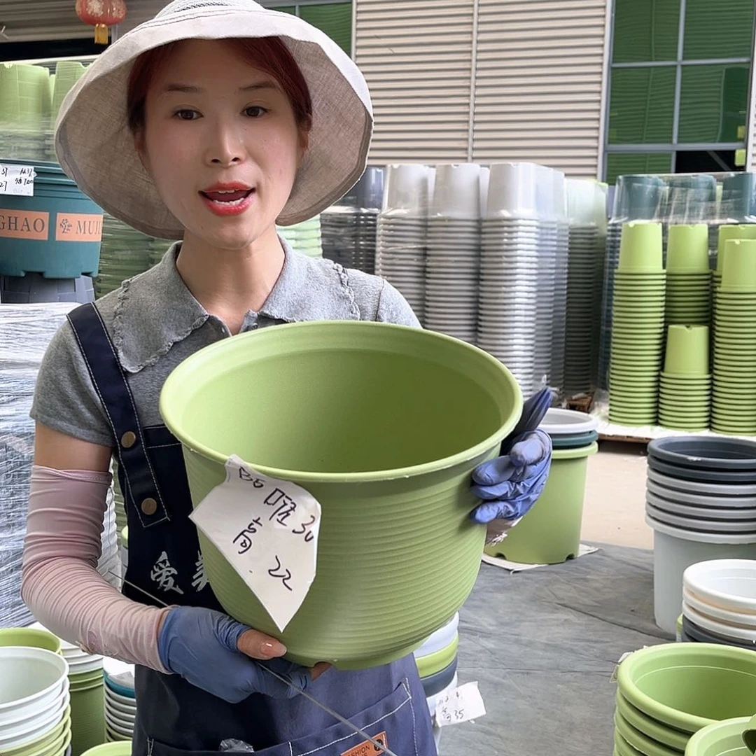 仿陶盆B5#果绿色3个含托