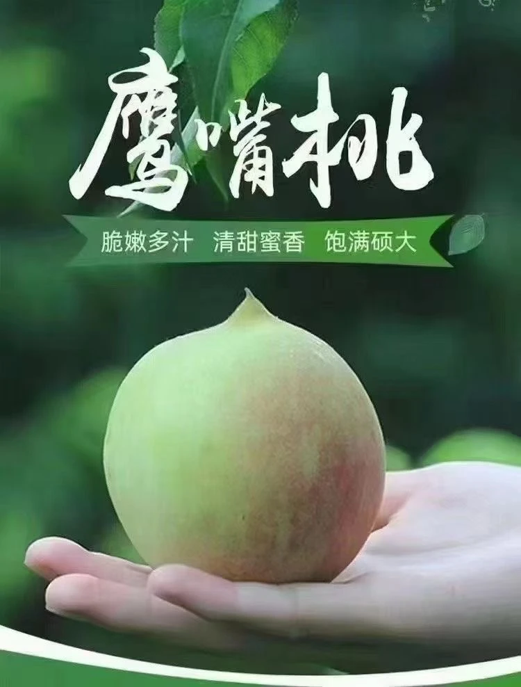 正宗岭南鹰嘴桃蜜桃新鲜应季水果脆甜多汁顺丰包邮