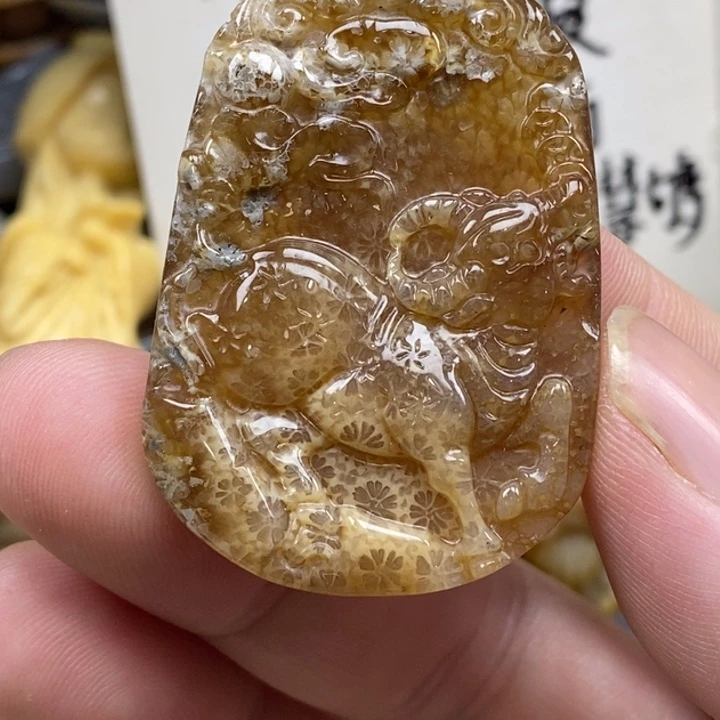 硅化珊瑚（珊瑚玉）未镶嵌颈饰