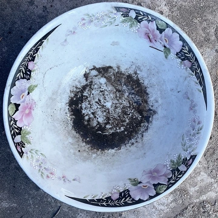 瓷片我是真的很喜欢