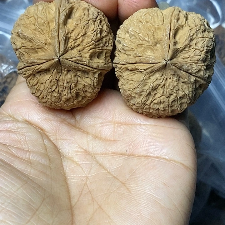 把件文玩核桃云南铁核桃46