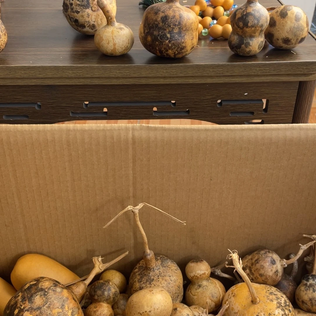 香榧木秋**叶葫芦葫芦