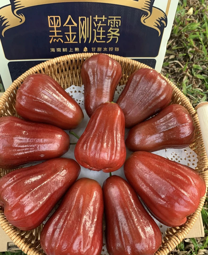 顺丰空运海南黑金刚莲雾礼盒新鲜爆汁清甜汁水份足清脆爽口小糖人