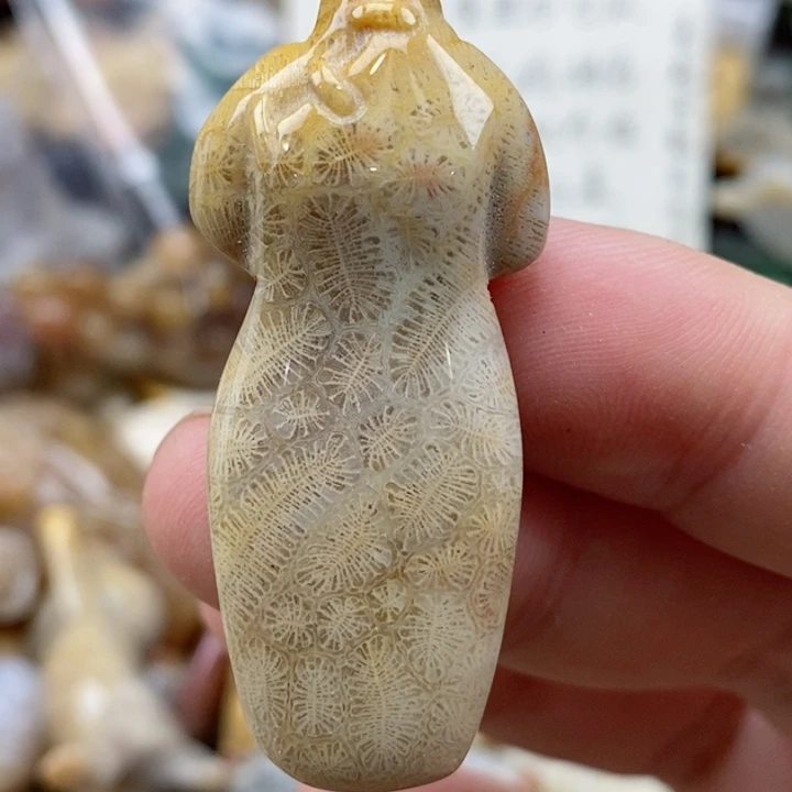 硅化珊瑚（珊瑚玉）未镶嵌颈饰小