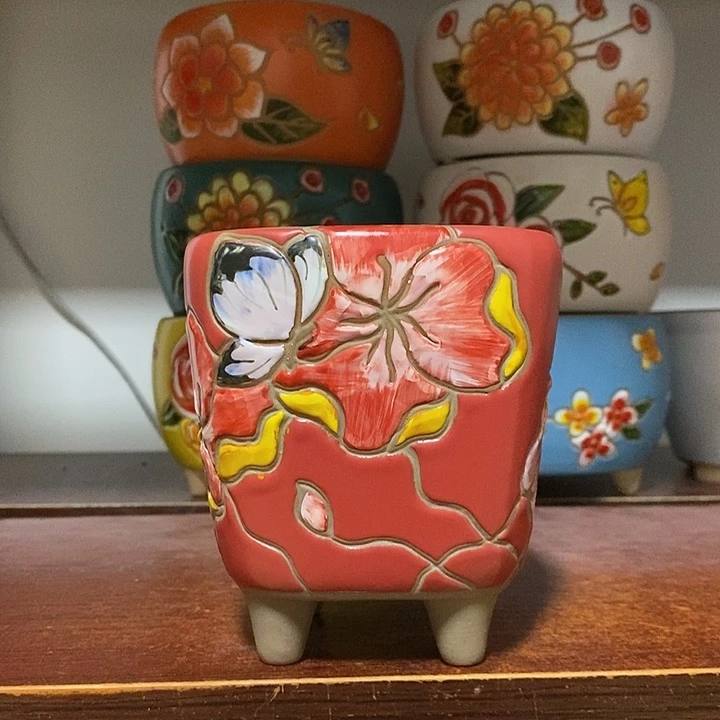 韩式多肉植物花盆