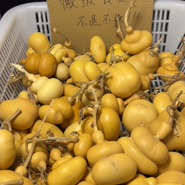 林***）葫芦葫芦葫芦葫芦