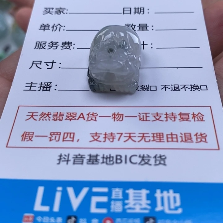 ꧁***꧂翡翠未镶嵌颈饰多人貔貅