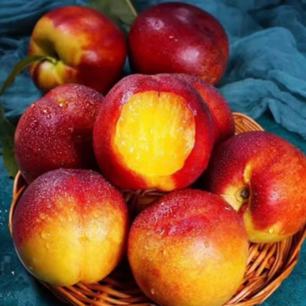 【平台推荐】新疆沙漠王桃油桃新鲜应季水果头茬桃（大小混发）新疆维吾尔自治区