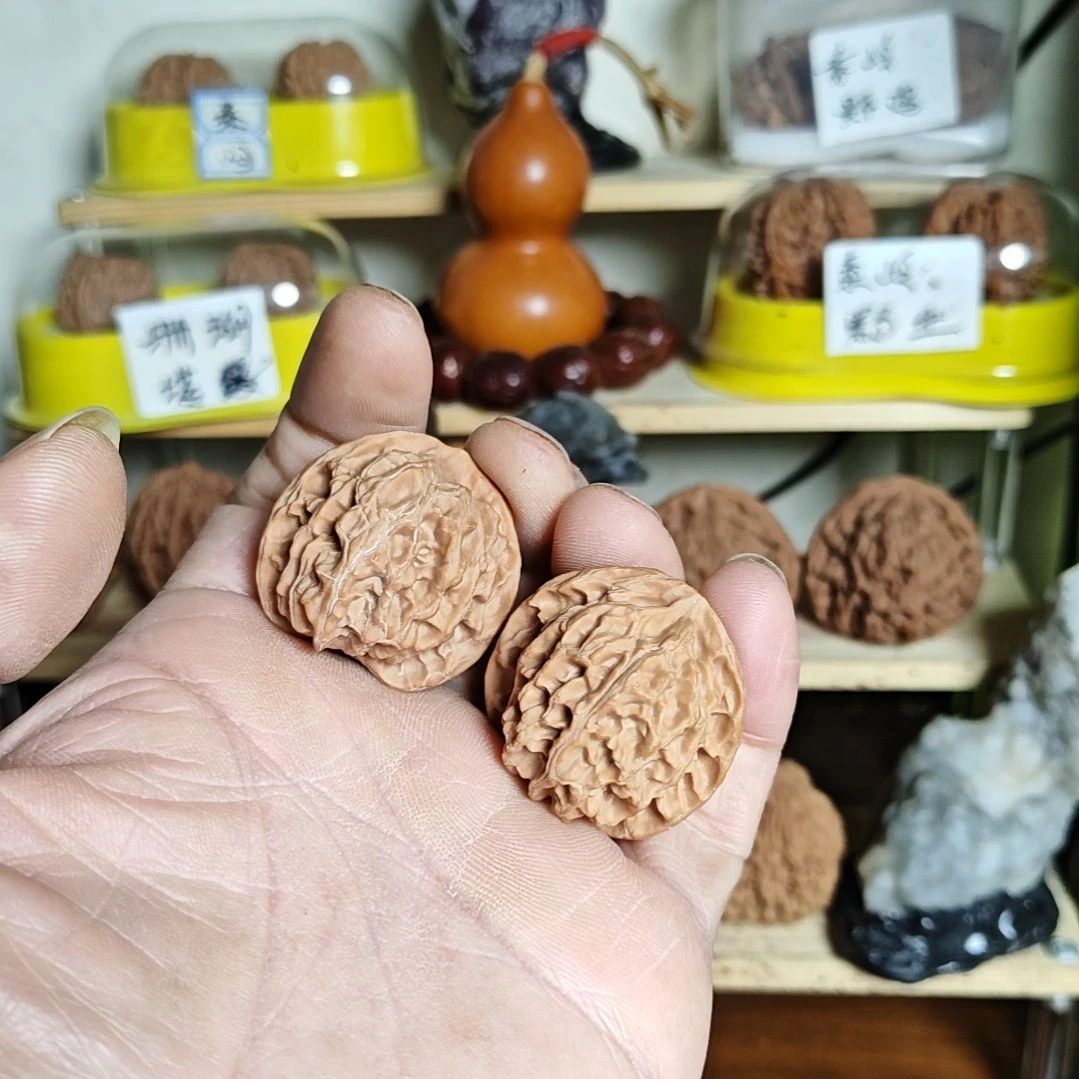 35加尺寸苹果园狮子