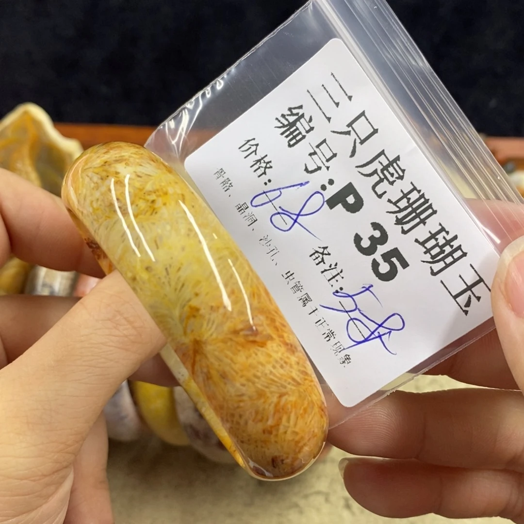 硅化珊瑚（珊瑚玉）1未镶嵌诺*